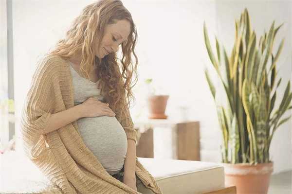 探寻优质婴儿奶粉连锁母婴店,如何挑选值得信赖的母婴店指南