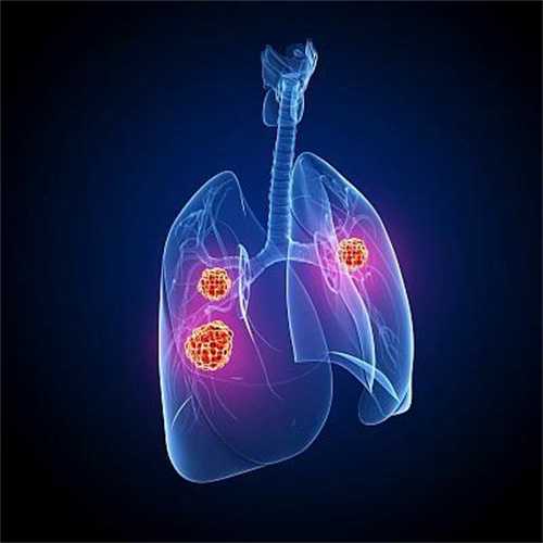 探索宝宝六个月辅食的奥秘：营养丰富、美味可口的食品指南