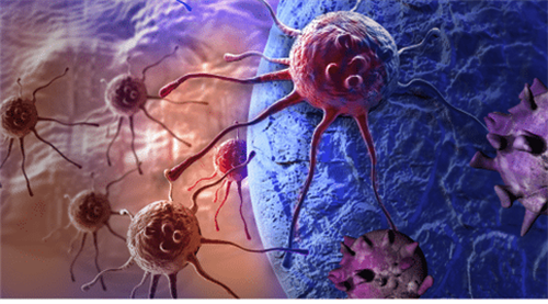 红斑狼疮孕妇的挑战与希望：孕期管理及生育安全指南