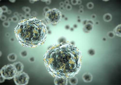 轻松备孕,这些软件让你事半功倍!