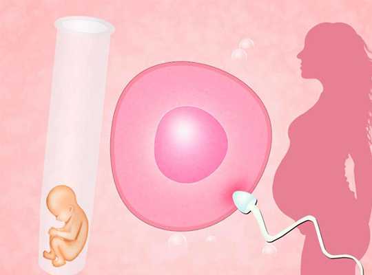 广州供卵包男孩热搜金摇篮生子